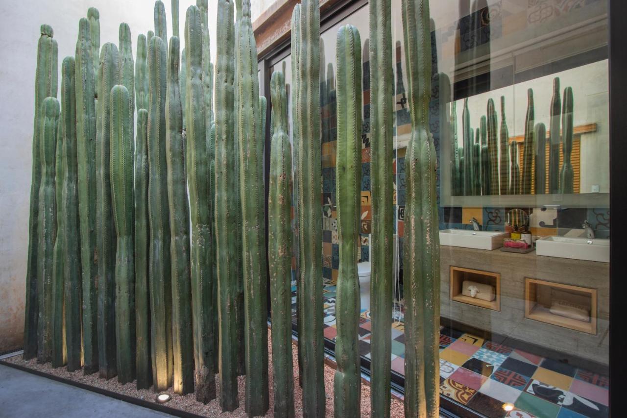 ホテル Casa Carmen Reforma オアハカ州 エクステリア 写真