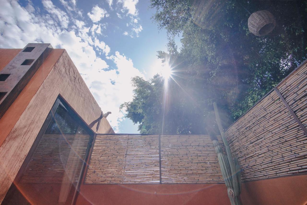 ホテル Casa Carmen Reforma オアハカ州 エクステリア 写真