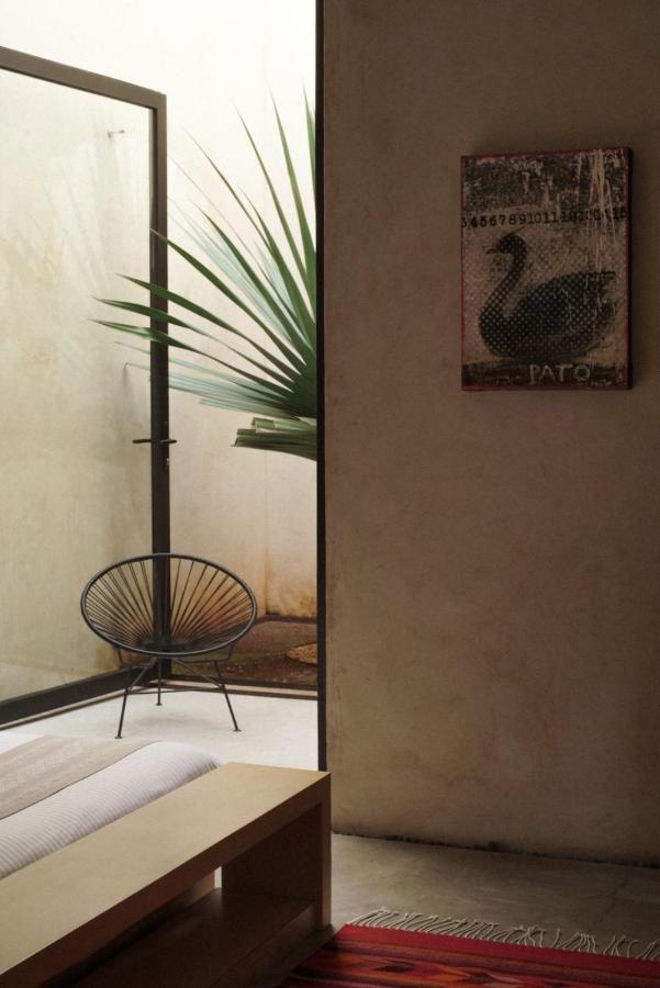 ホテル Casa Carmen Reforma オアハカ州 エクステリア 写真