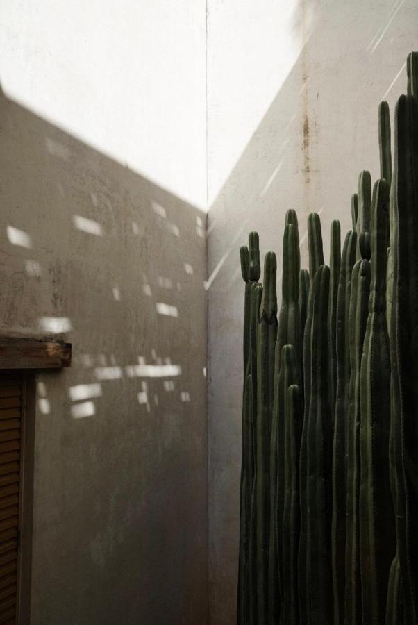 ホテル Casa Carmen Reforma オアハカ州 エクステリア 写真
