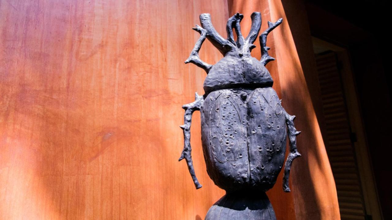 ホテル Casa Carmen Reforma オアハカ州 エクステリア 写真